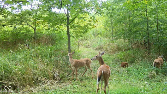 $745,000 | 26595 Mt Pleasant Road, Arcadia, IN 46030