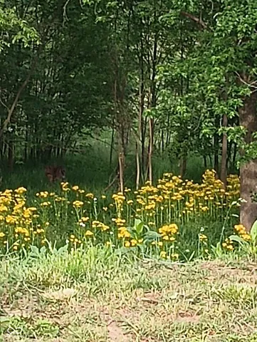 $745,000 | 26595 Mt Pleasant Road, Arcadia, IN 46030