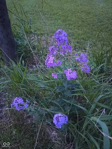 $745,000 | 26595 Mt Pleasant Road, Arcadia, IN 46030