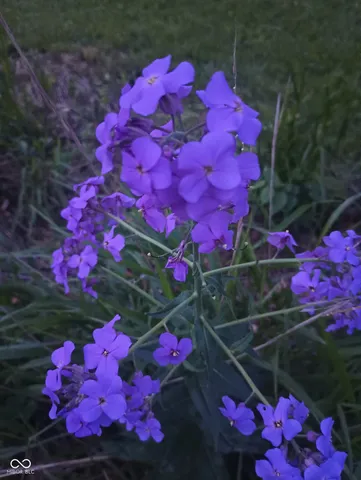 $745,000 | 26595 Mt Pleasant Road, Arcadia, IN 46030