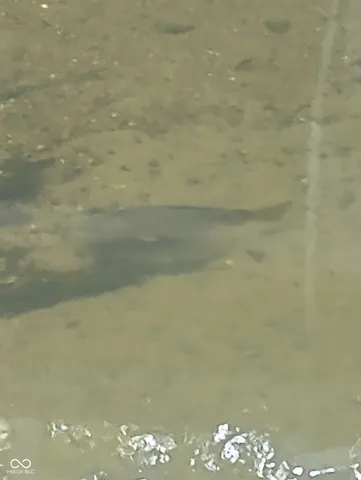 $745,000 | 26595 Mt Pleasant Road, Arcadia, IN 46030