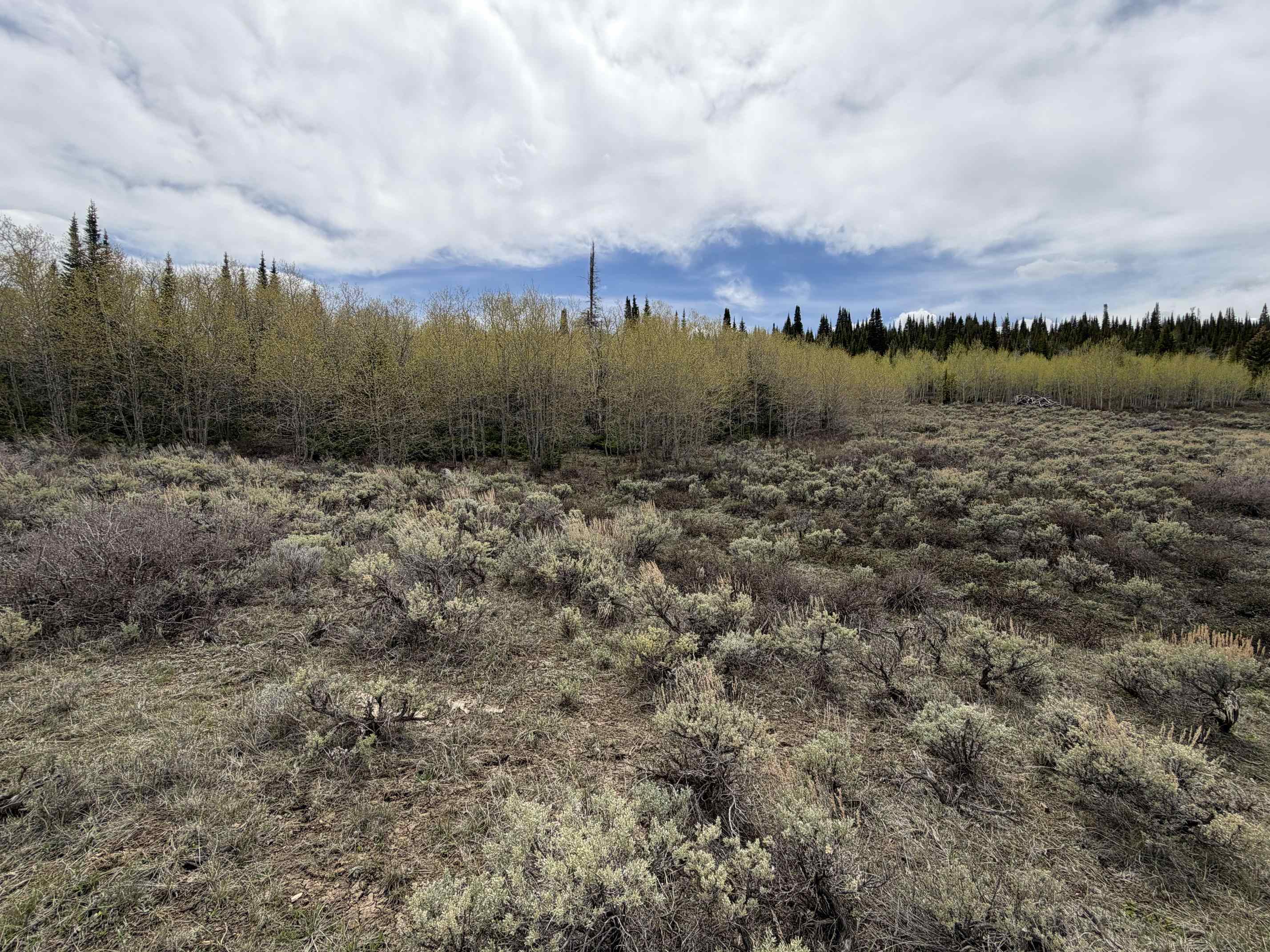 Comm R Unit J Comm R Kemmerer, WY 83101 - Photo 6 of 12