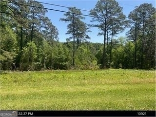0 Southeast Oakdale Road Cairo, GA 39828 - Photo 1 of 1 Gallery Image 1