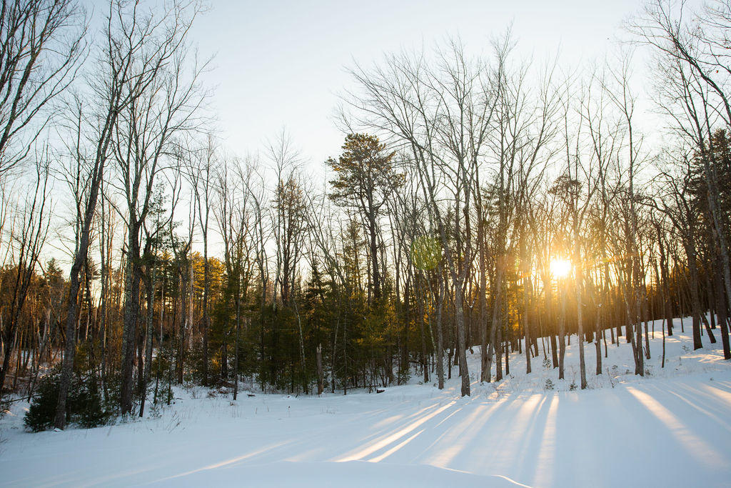 364 Clark Road Wells, ME 04090 - Photo 53 of 66 364 Clark Road