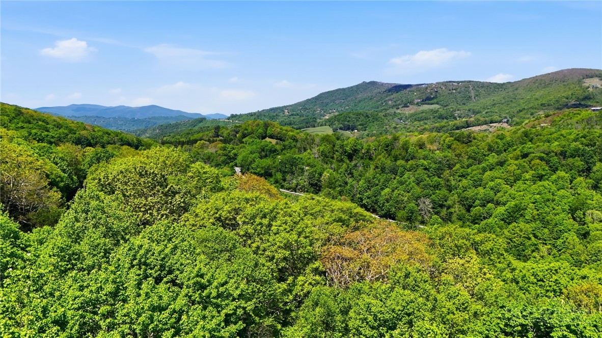 Lot #33 Snow Ridge Road Banner Elk, NC 28604 - Photo 8 of 10 Gallery Image 8