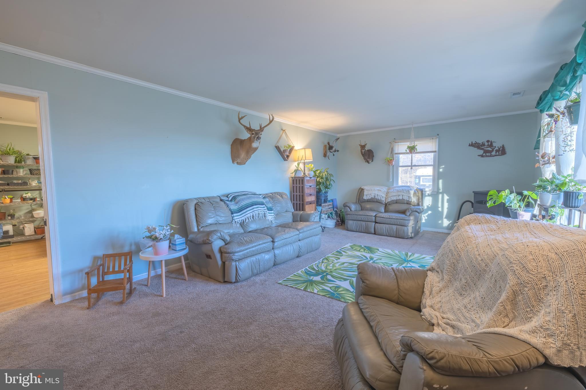1305 Barclay Road Barclay, MD 21607 - Photo 13 of 43 Family Room