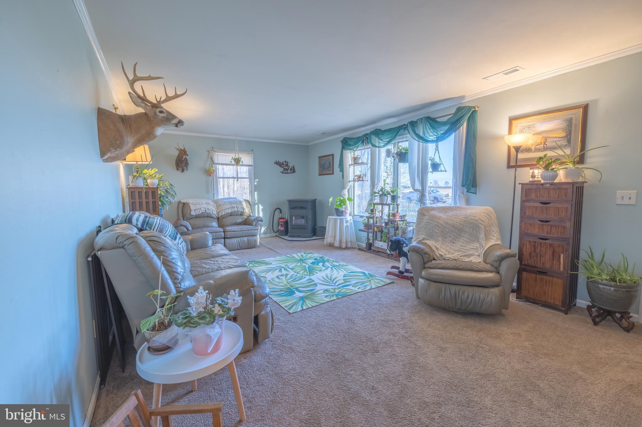 1305 Barclay Road Barclay, MD 21607 - Photo 14 of 43 Family Room