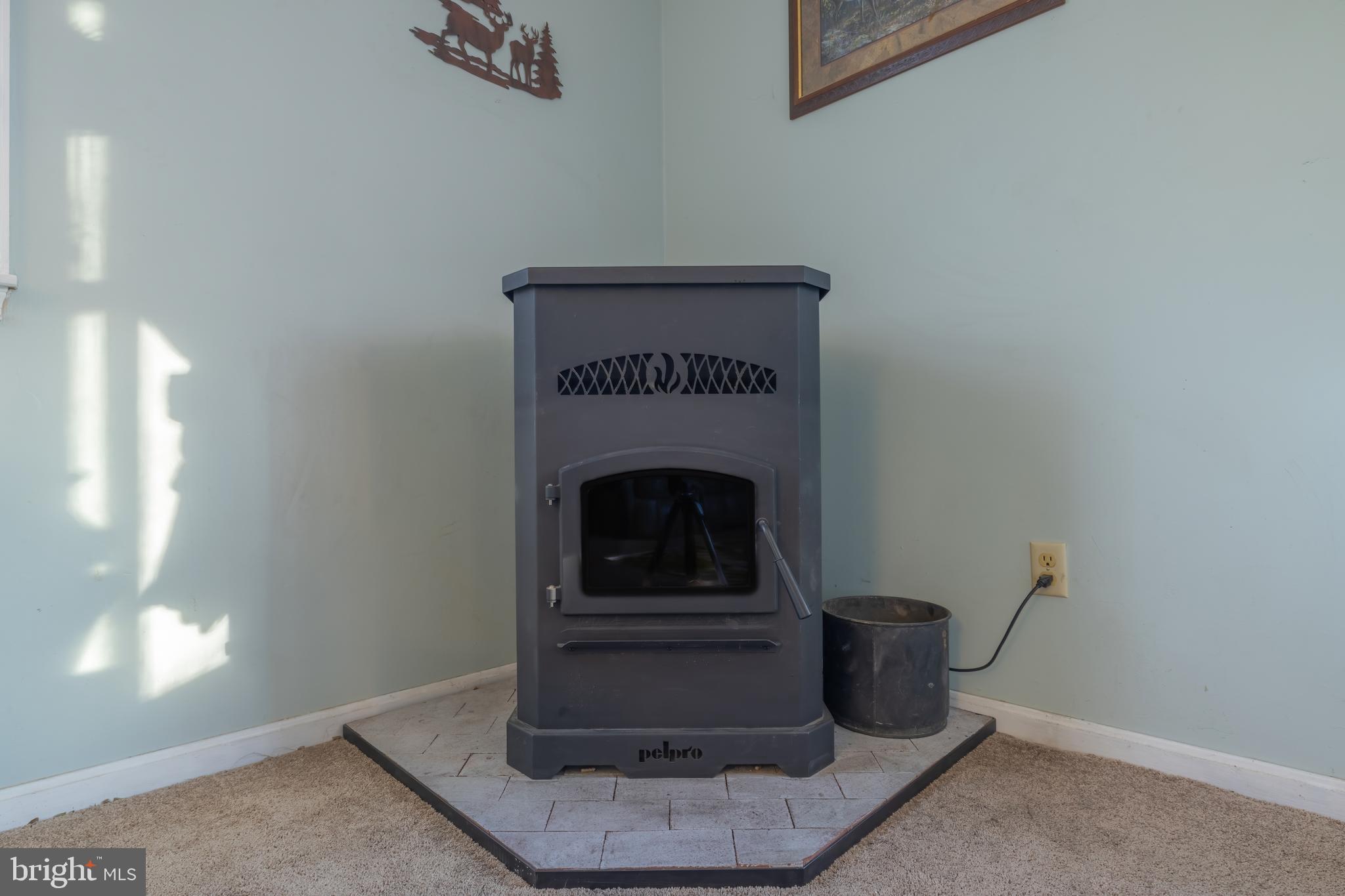 1305 Barclay Road Barclay, MD 21607 - Photo 16 of 43 Family Room Pellet Stove