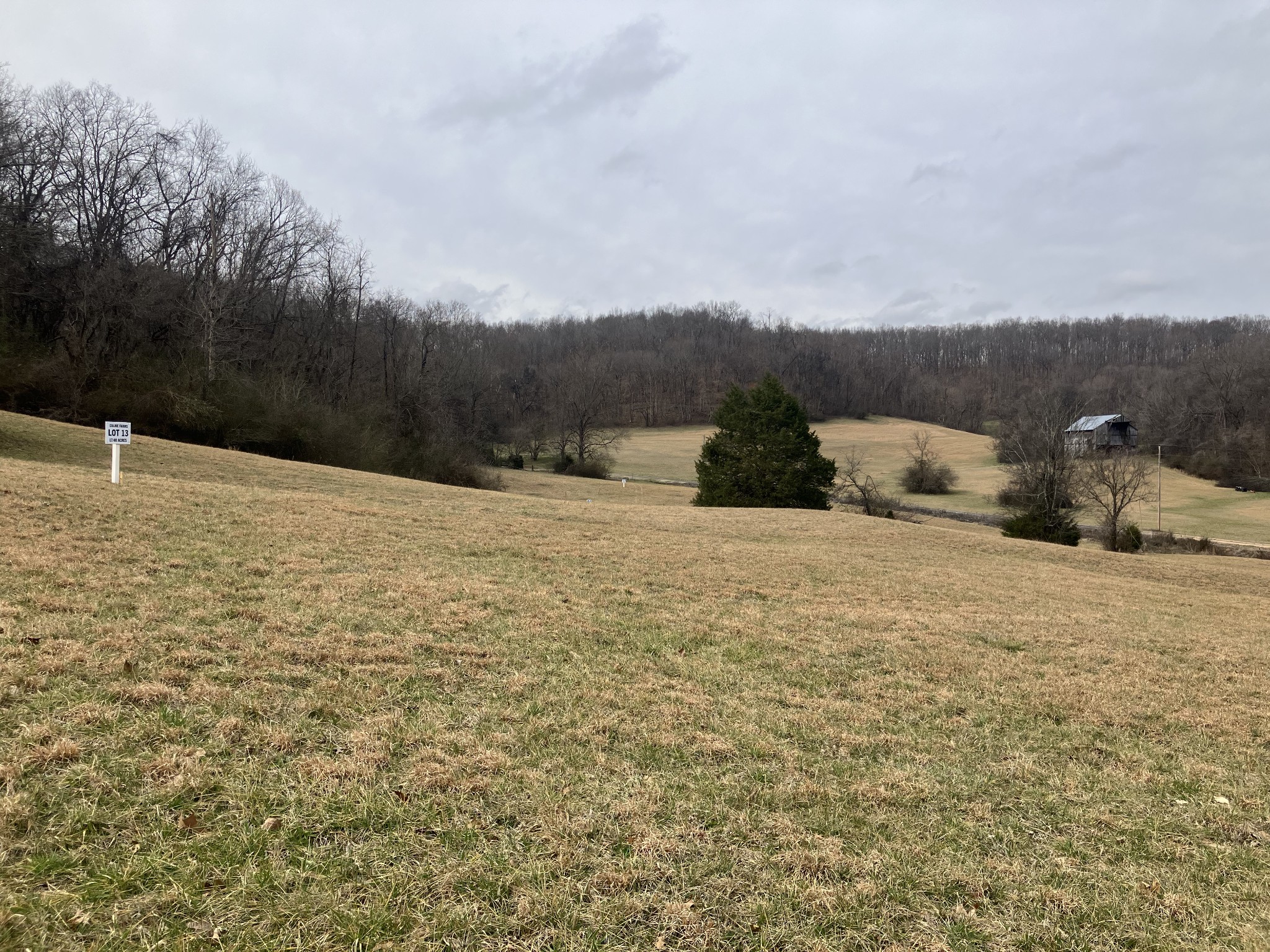 13 Booker Ridge Road Mount Pleasant, TN 38474 - Photo 1 of 7 Gallery Image 1