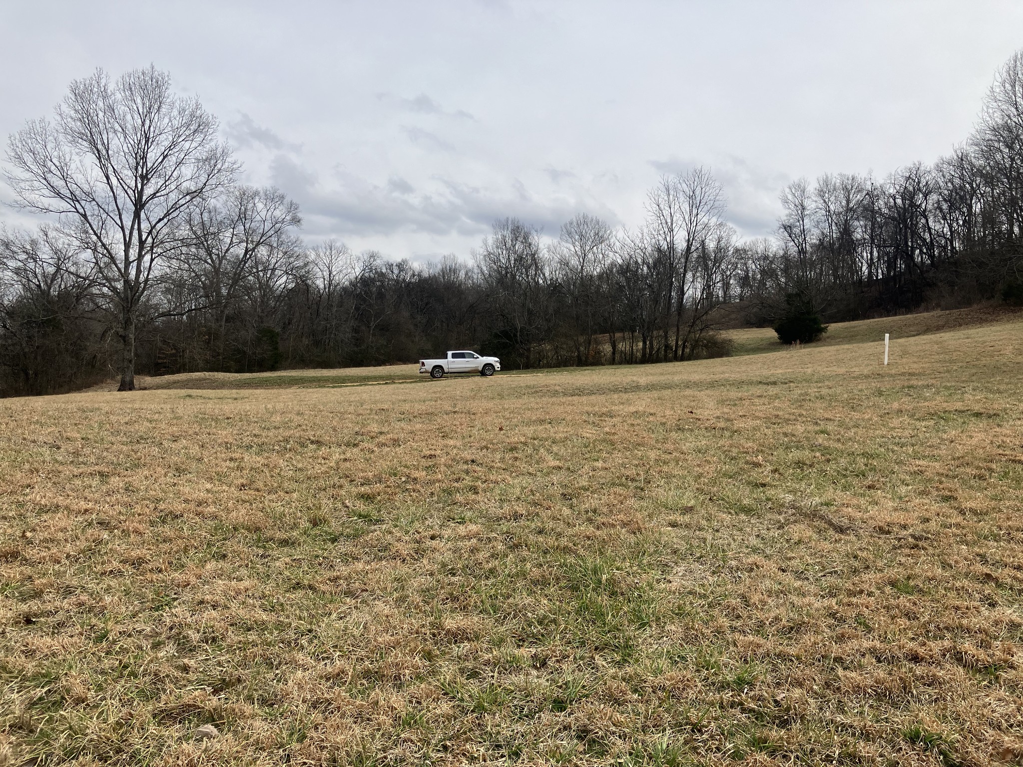 13 Booker Ridge Road Mount Pleasant, TN 38474 - Photo 2 of 7 Gallery Image 2