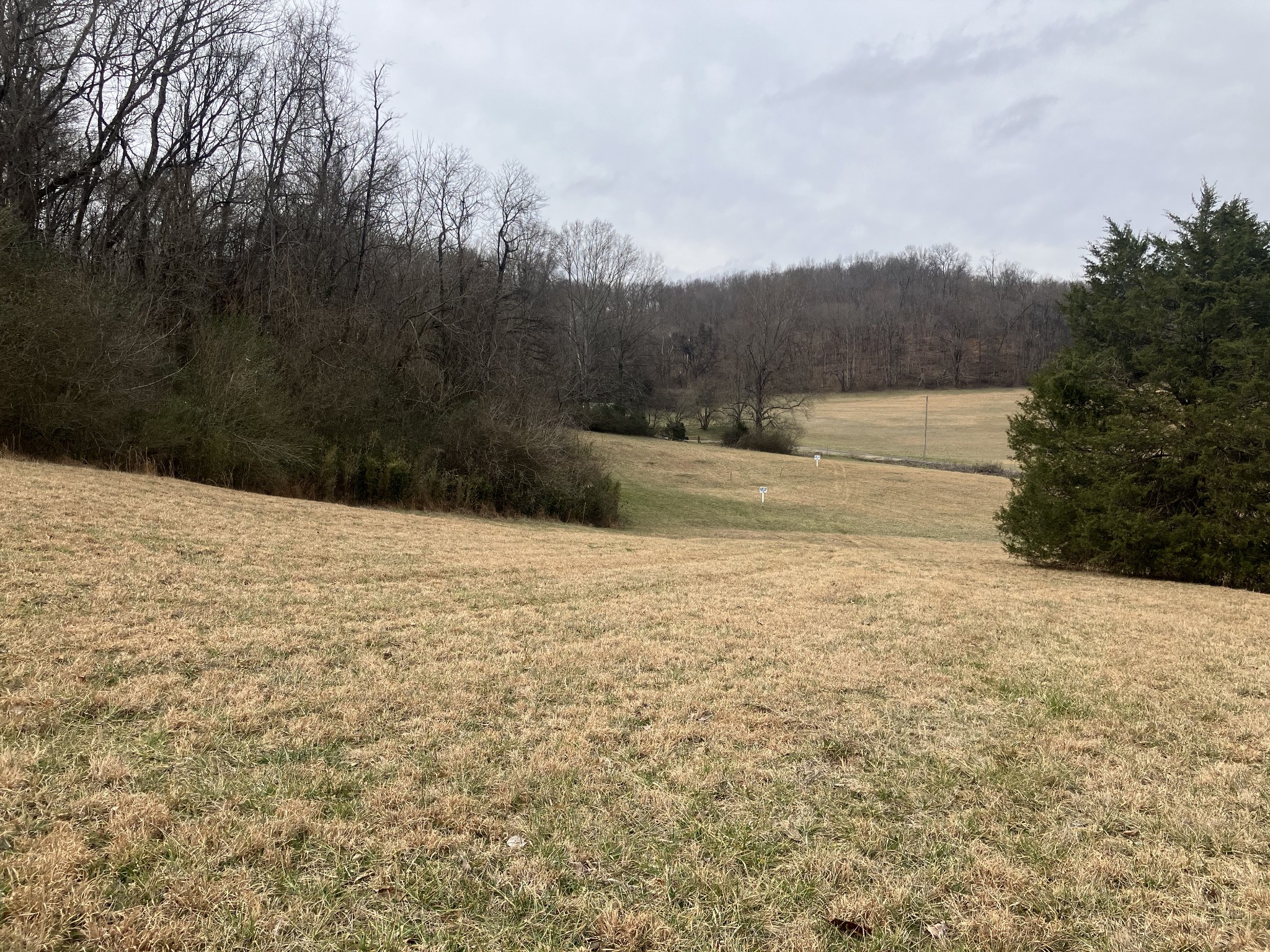 13 Booker Ridge Road Mount Pleasant, TN 38474 - Photo 3 of 7 Gallery Image 3