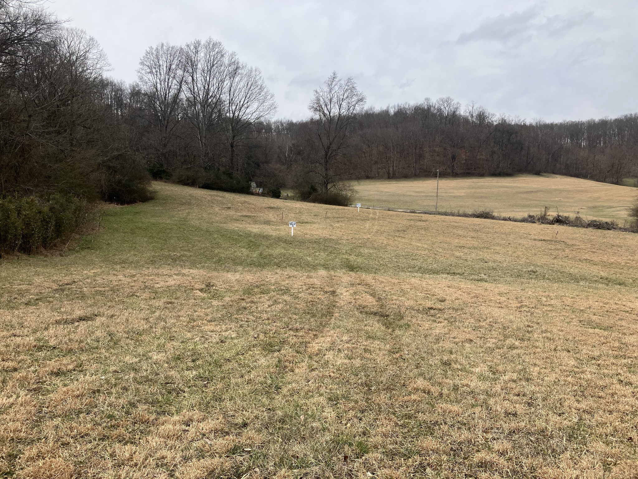 13 Booker Ridge Road Mount Pleasant, TN 38474 - Photo 4 of 7 Gallery Image 4