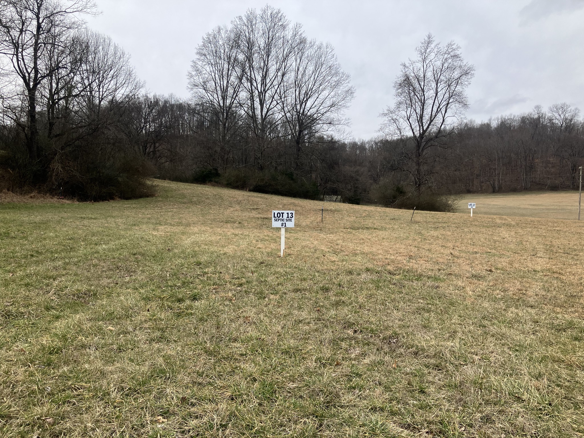 13 Booker Ridge Road Mount Pleasant, TN 38474 - Photo 5 of 7 Gallery Image 5