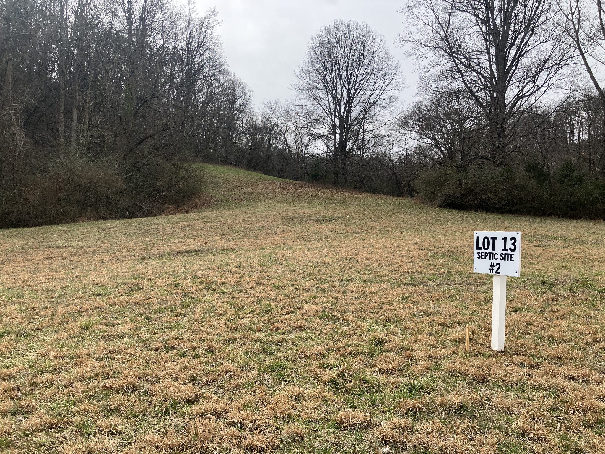 13 Booker Ridge Road Mount Pleasant, TN 38474 - Photo 6 of 7 Gallery Image 6