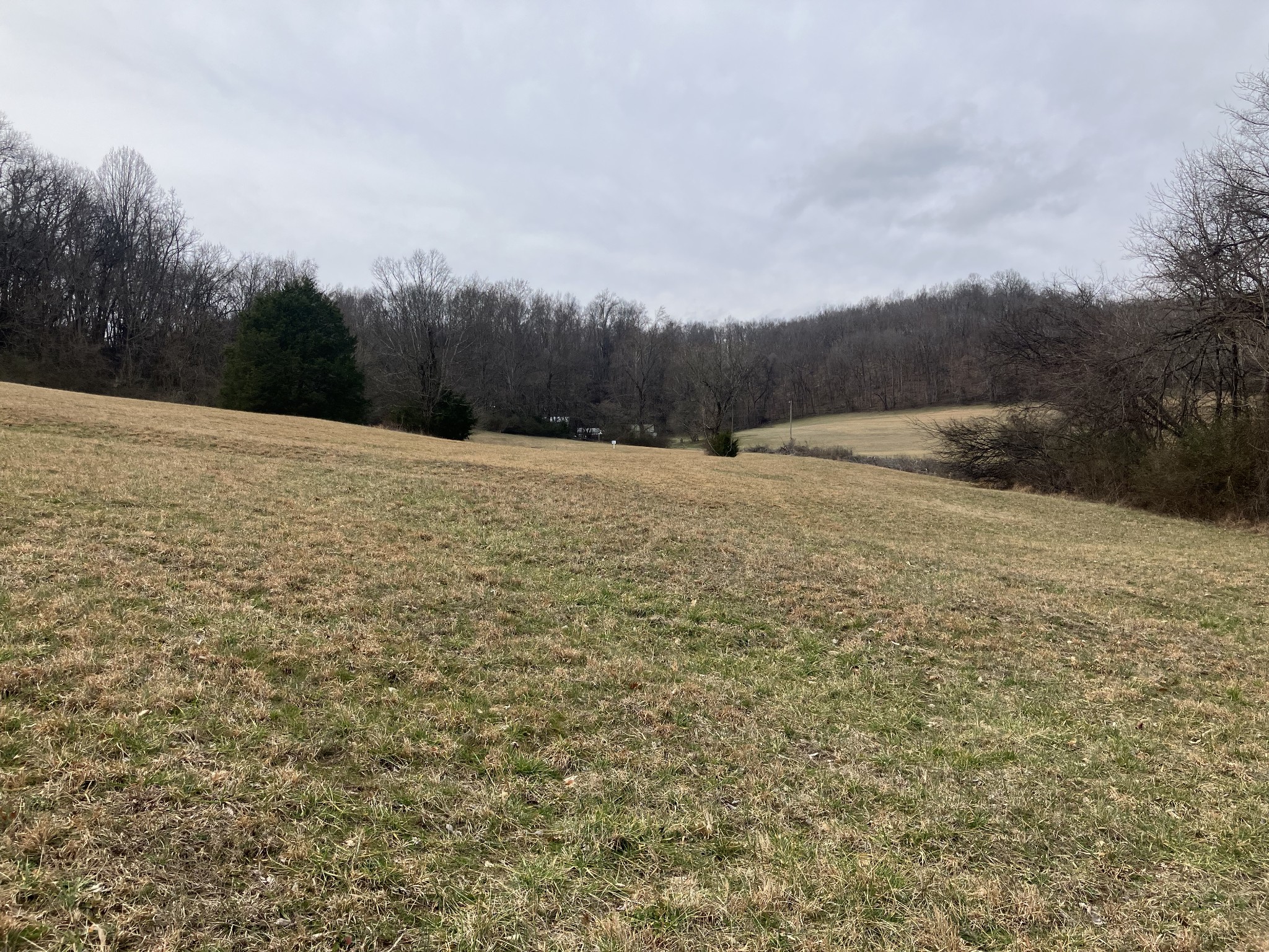13 Booker Ridge Road Mount Pleasant, TN 38474 - Photo 7 of 7 Gallery Image 7