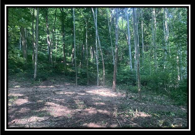 0 Potts Hill Road, Unit TRACT 3) Bainbridge, OH 45612 - Photo 5 of 27 image005