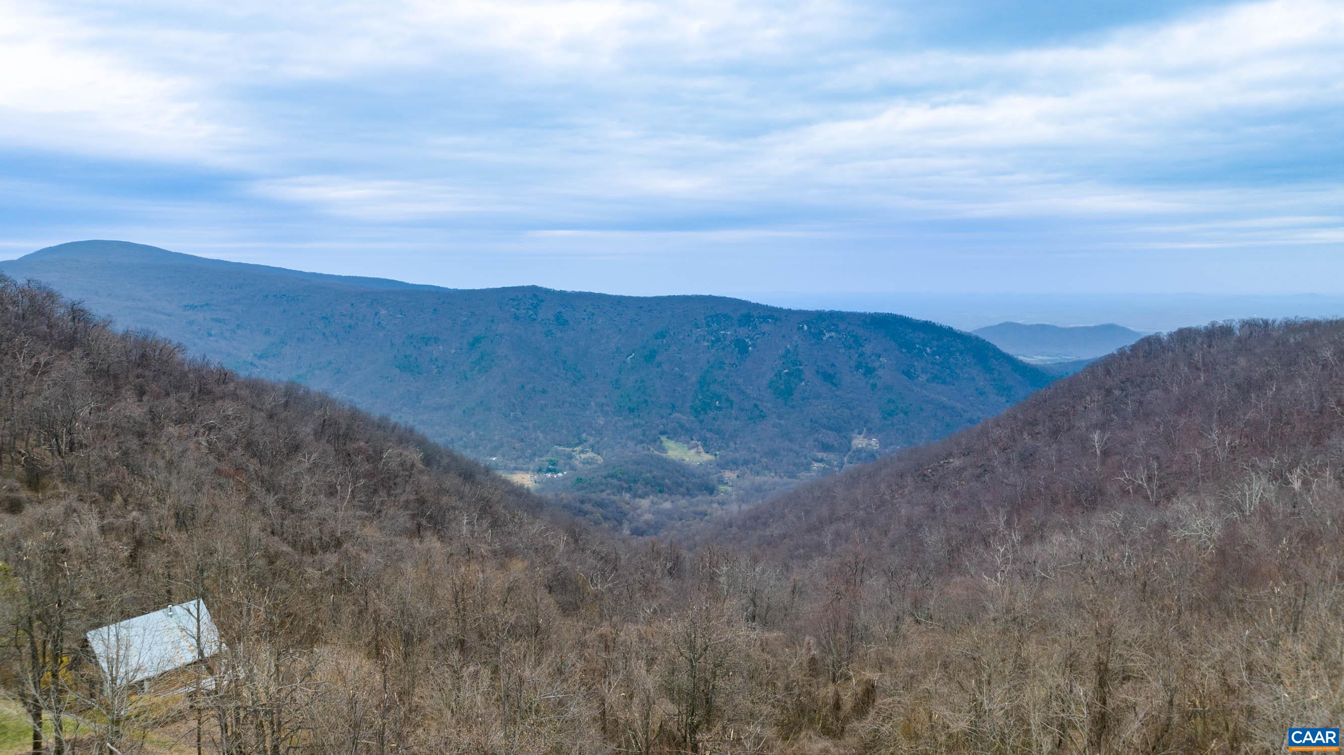 3728 Flattop Mountain Road Free Union, VA 22940 - Photo 16 of 17 a view of a dry yard