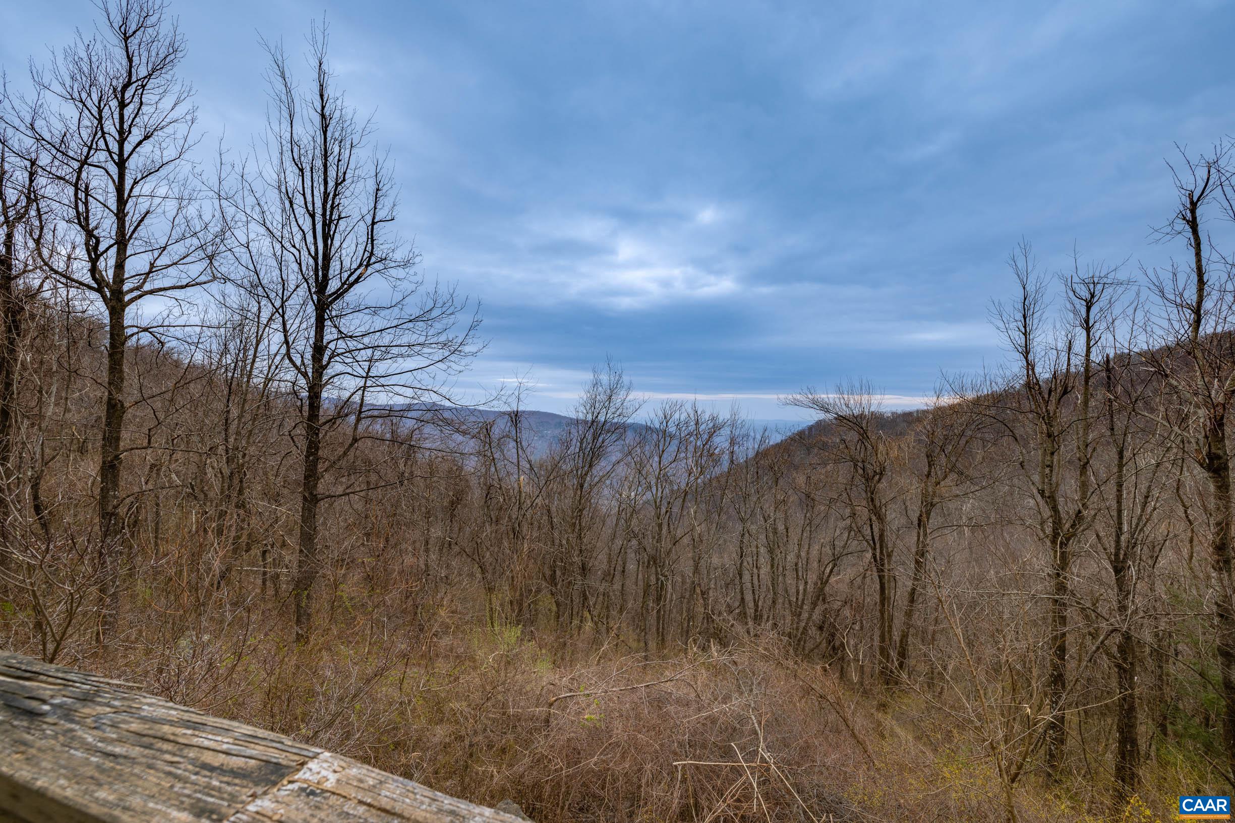 3728 Flattop Mountain Road Free Union, VA 22940 - Photo 17 of 17 a view of a dry yard with wooden fence