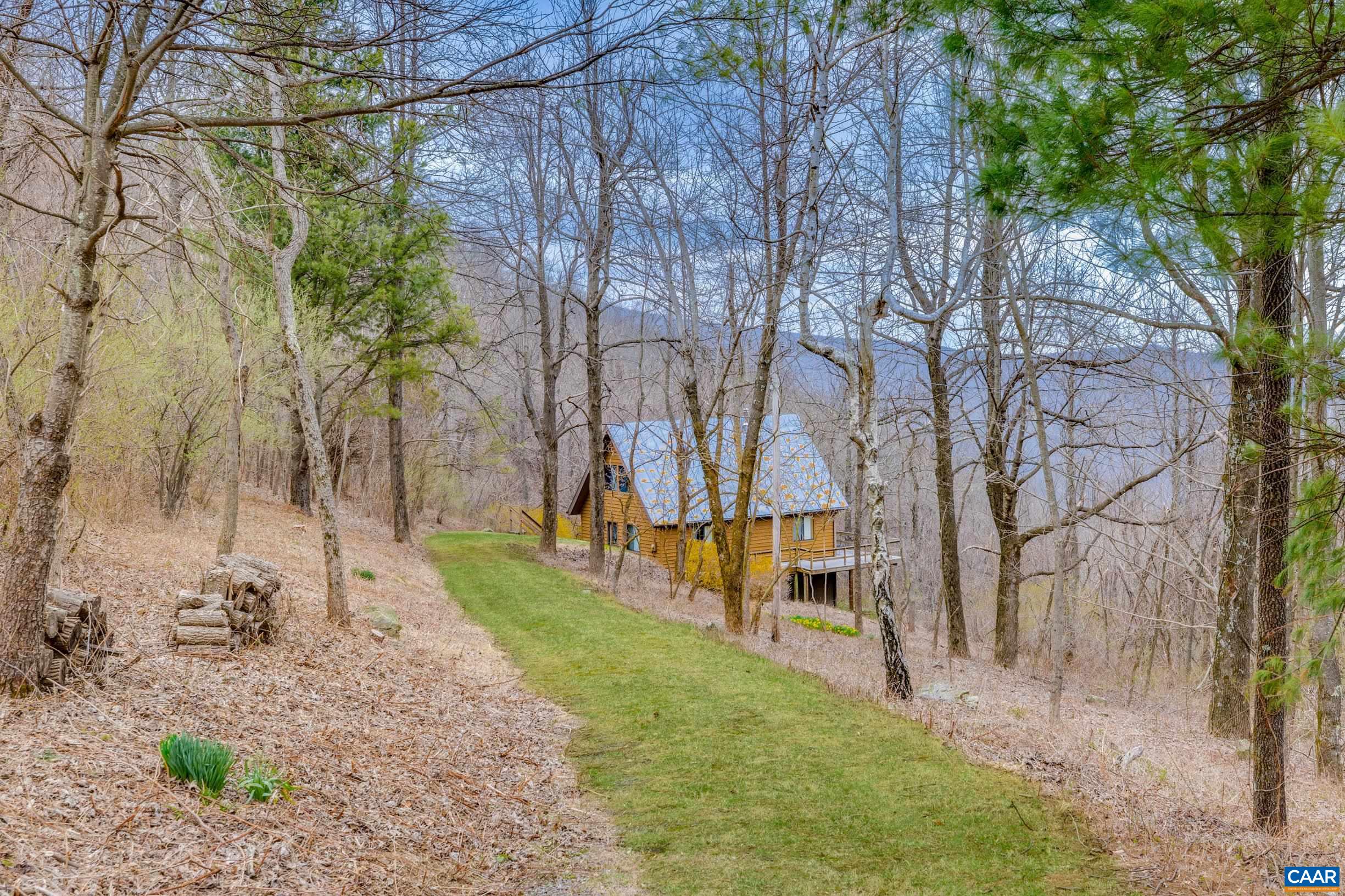 3728 Flattop Mountain Road Free Union, VA 22940 - Photo 3 of 17 a view of a yard with a large tree
