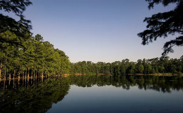 $5,599 | 126 Keechie Creek Court, Conroe, TX 77304