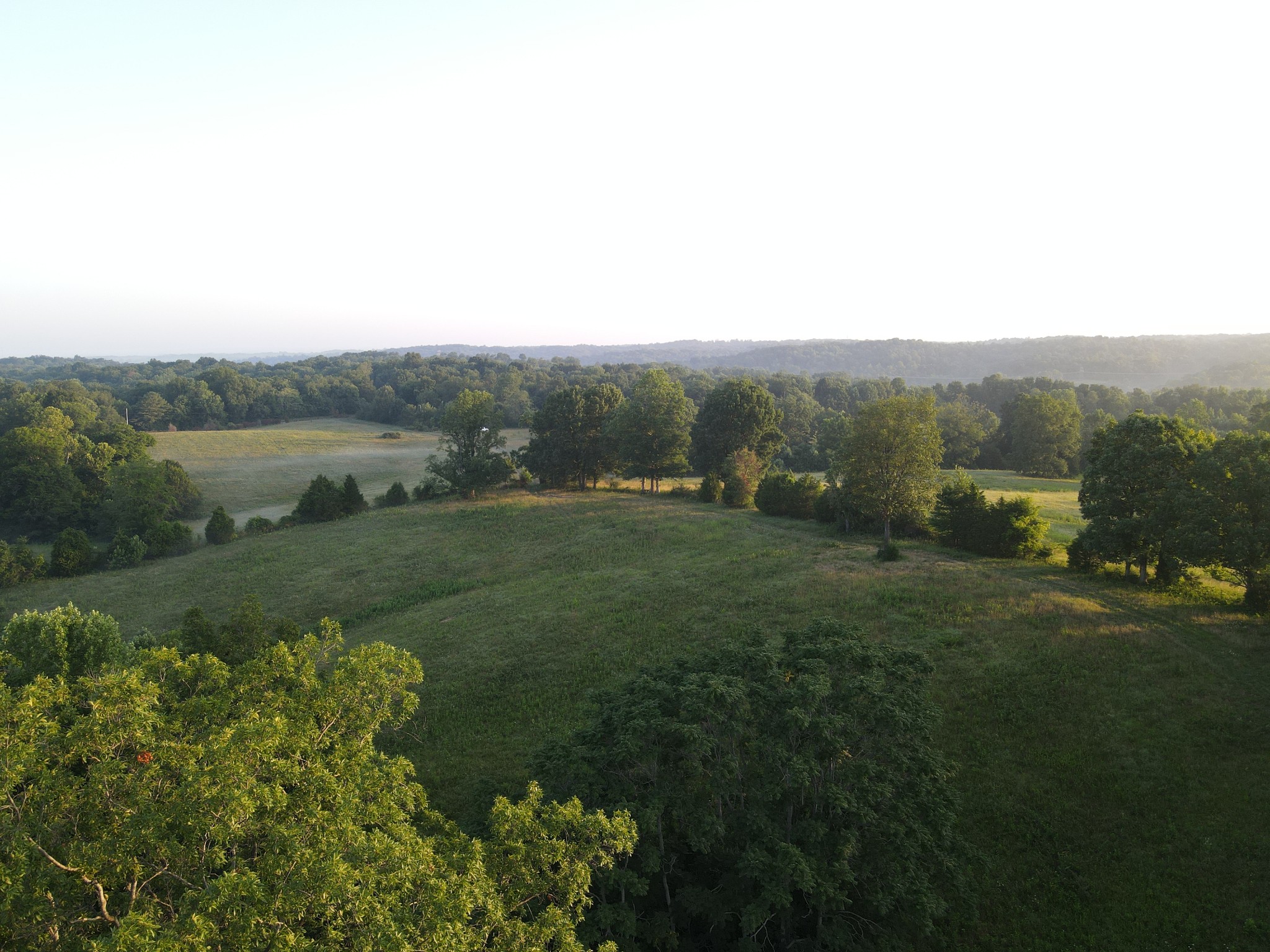 4 Shiloh Canaan Road Palmyra, TN 37142 - Photo 20 of 24 Gallery Image 20
