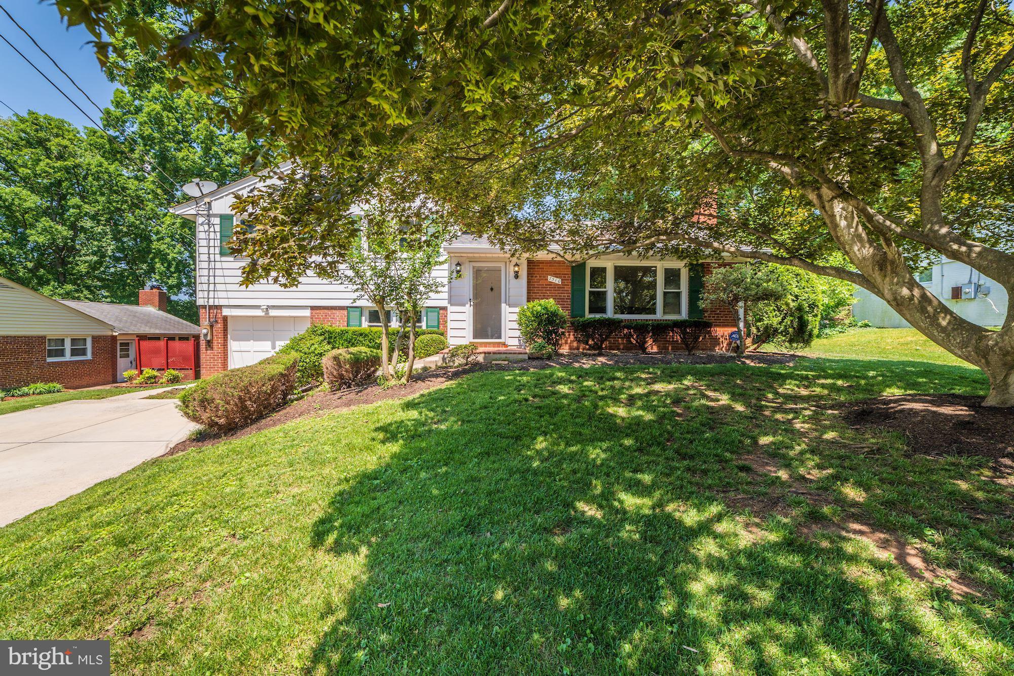 7510 June Street Springfield, VA 22150 - Photo 2 of 44 Front yard has mature beautiful trees