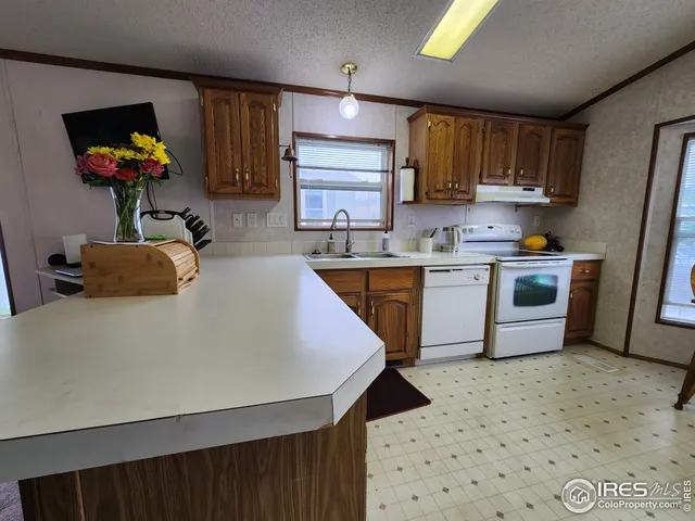 a kitchen with a sink appliances and cabinets
