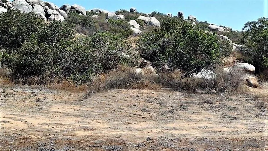 15277 Espola Road, Unit 3 Poway, CA 92064 - Photo 7 of 9 a view of a dry yard with trees