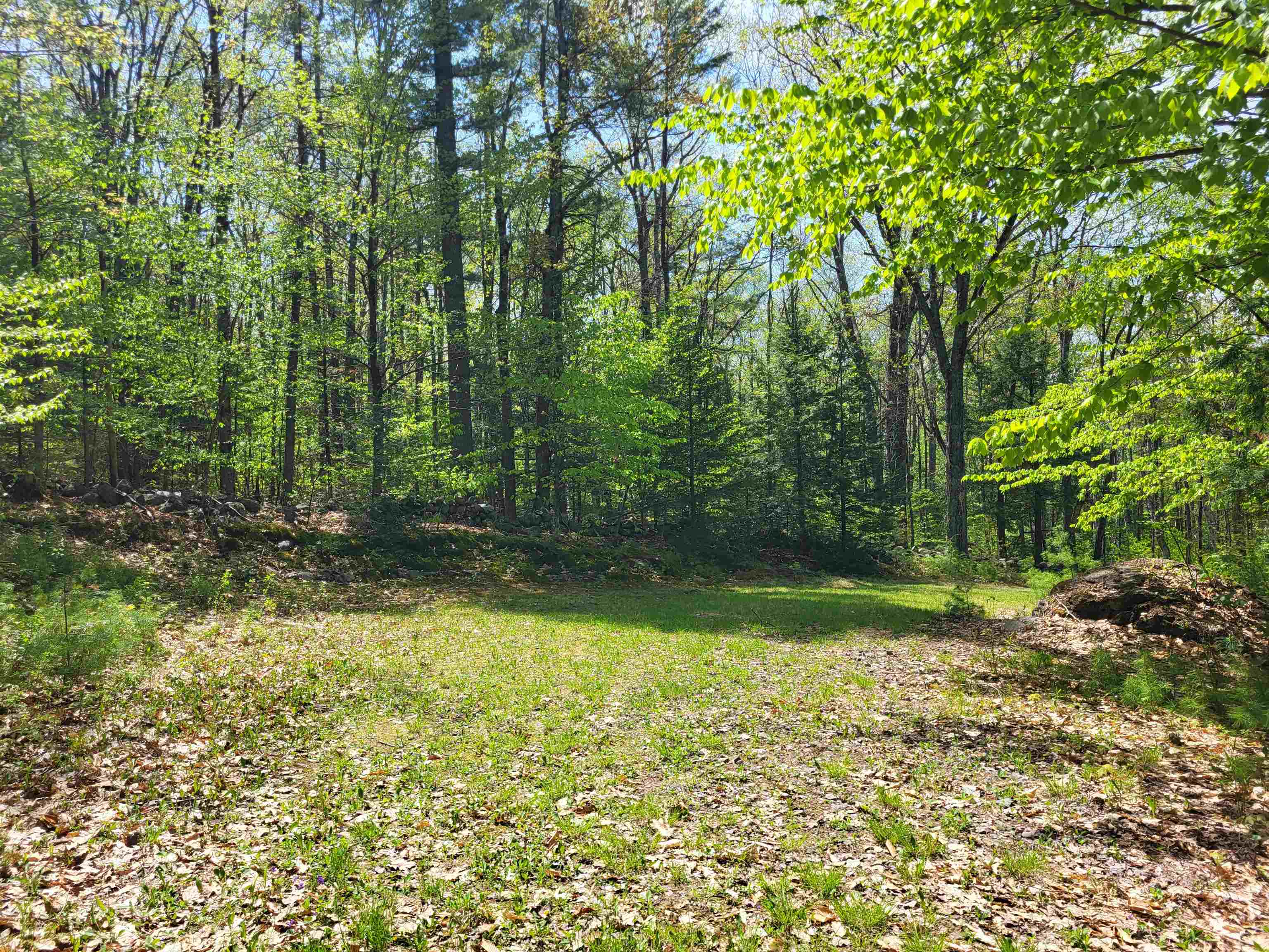 390 Mathews Road, Unit 6 Alexandria, NH 03222 - Photo 21 of 25