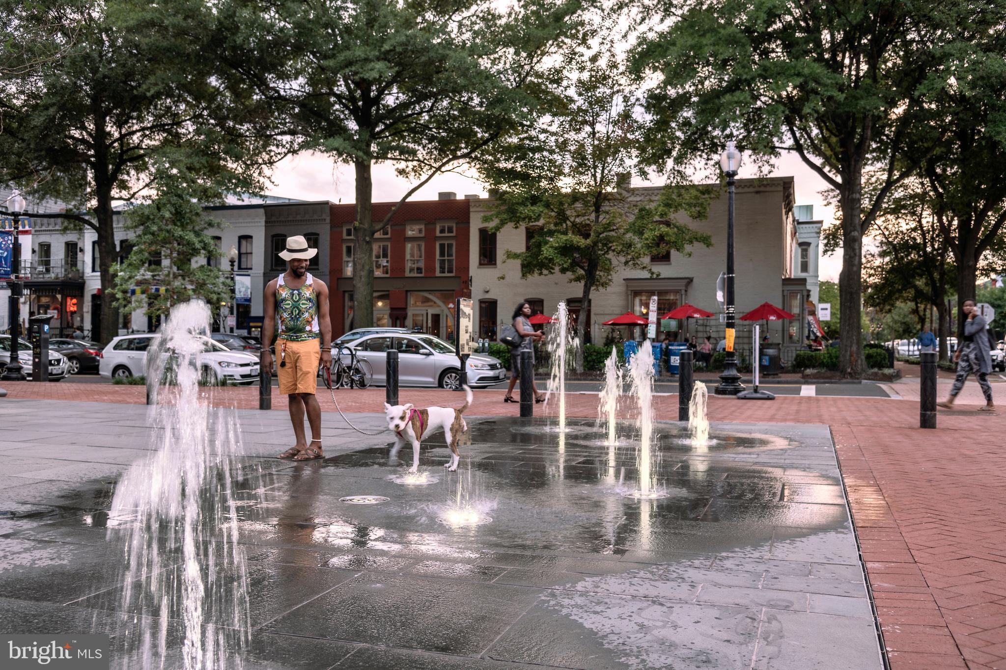 777 C Street Southeast, Unit P504 Washington, DC 20003 - Photo 38 of 38