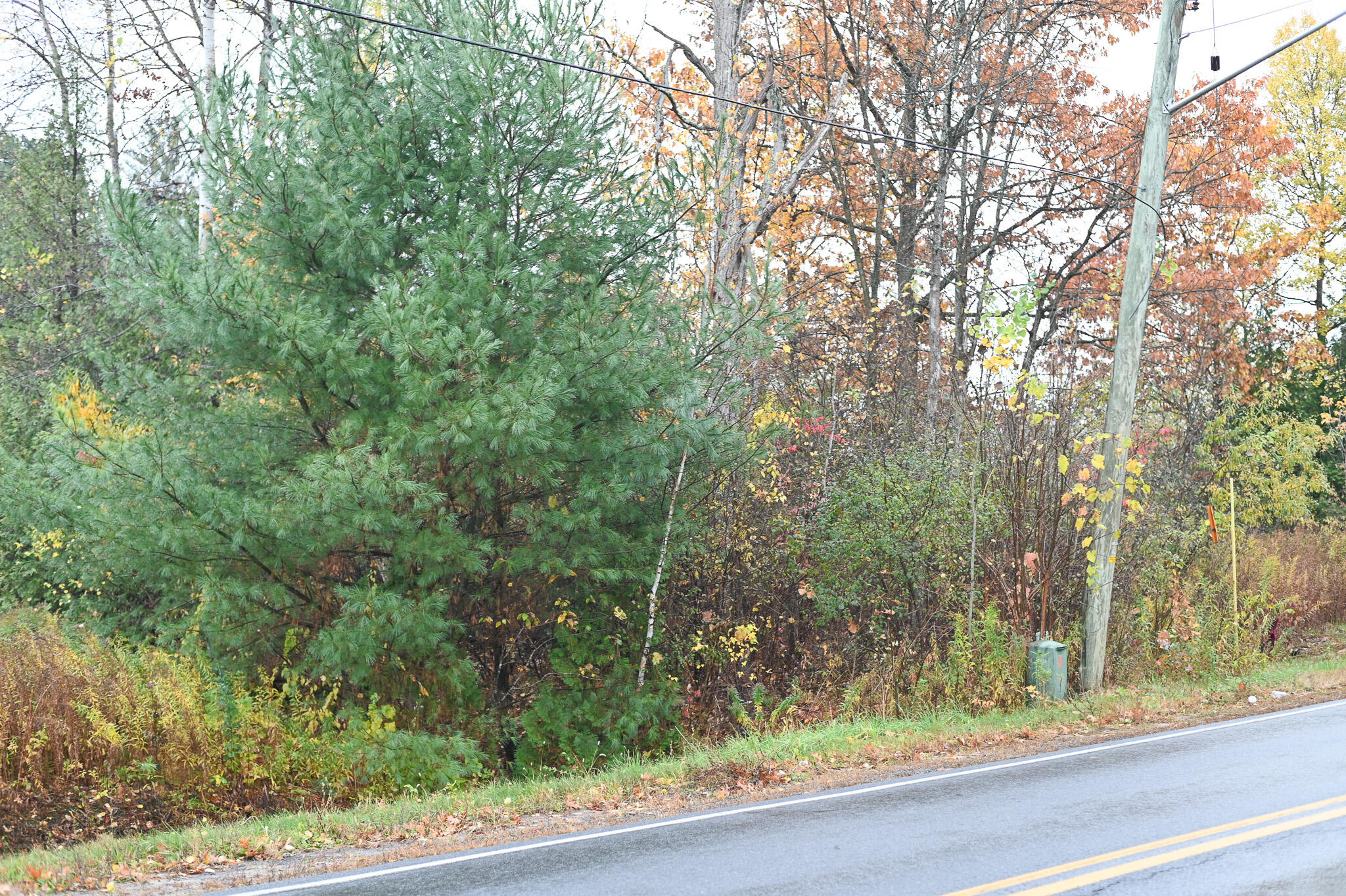0 Stafford Road Plattsburgh, NY 12901 - Photo 4 of 14 DSC_4073