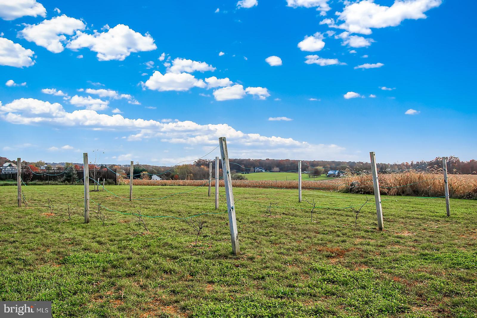 725 Pine Grove Road Hanover, PA 17331 - Photo 40 of 47