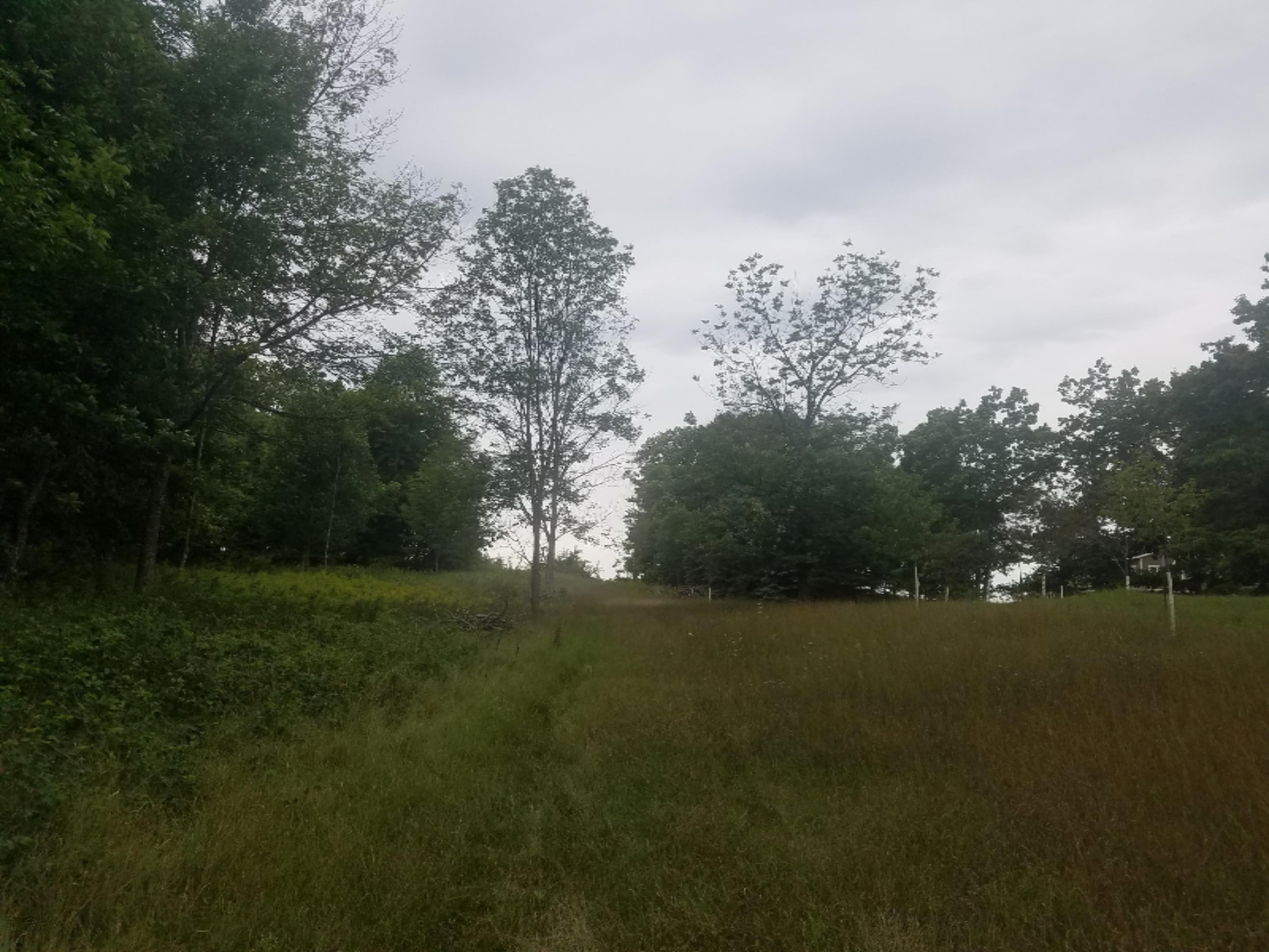 11 Mile Road Bear Lake, MI 49675 - Photo 4 of 21 134