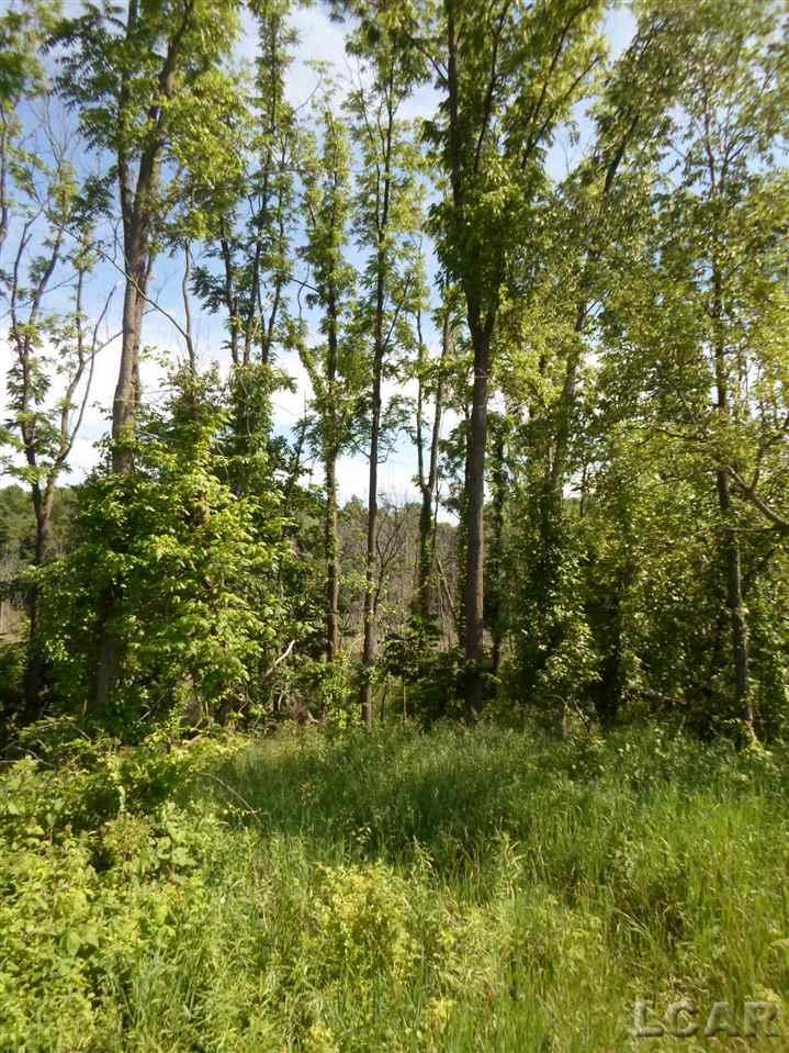 12000 Stephenson Road, Unit PARCEL A Brooklyn, MI 49230 - Photo 44 of 49