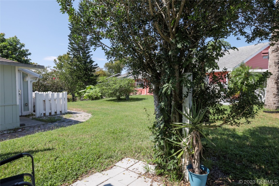 14 Chip Lane New Smyrna Beach, FL 32168 - Photo 25 of 54 a view of a yard with plants and large trees