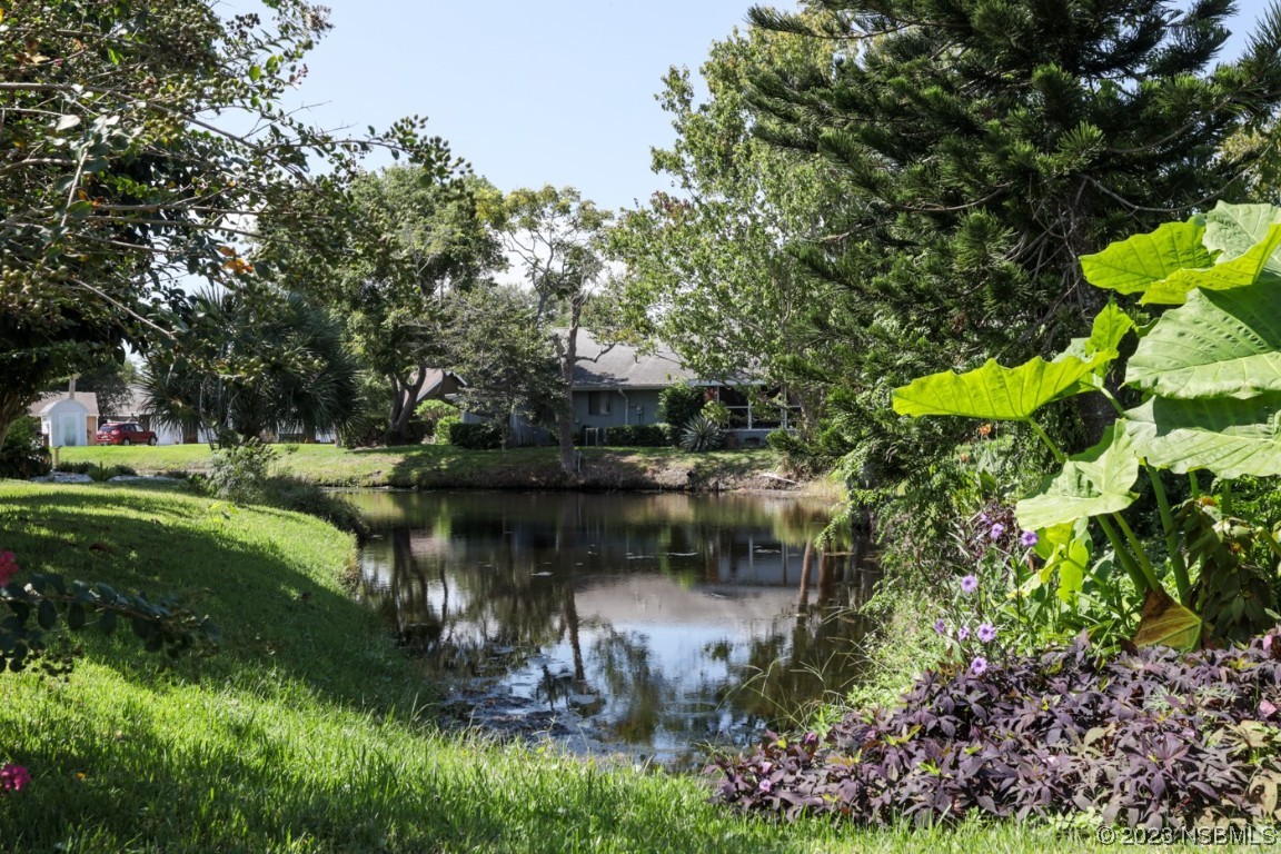 14 Chip Lane New Smyrna Beach, FL 32168 - Photo 54 of 54 a view of a lake with a park