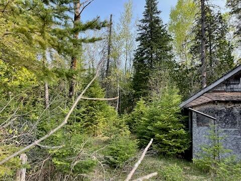 W19334 McGahn Road Germfask, MI 49836 - Photo 3 of 14 IMG_7188