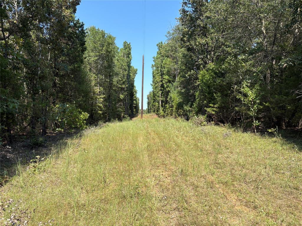 69 St Como Tx 75431, Unit TRACT 2 Como, TX 75431 - Photo 3 of 14 a view of outdoor space and garden