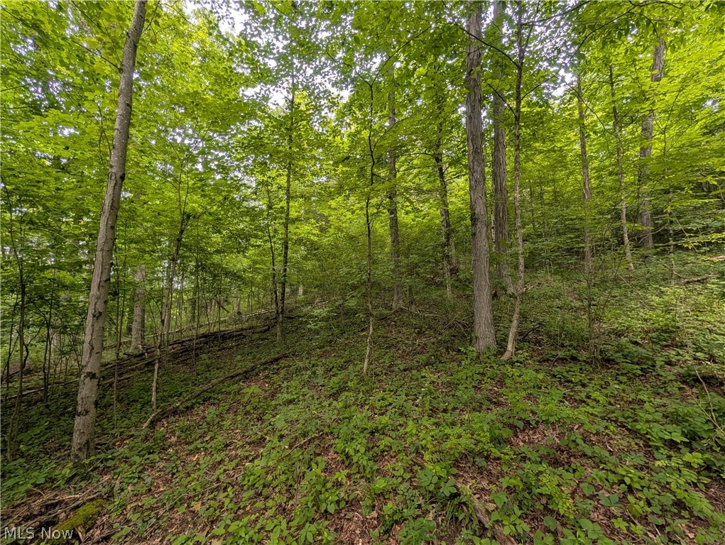 36 County Road Bloomingdale, OH 43910 - Photo 20 of 44 Gallery Image 20