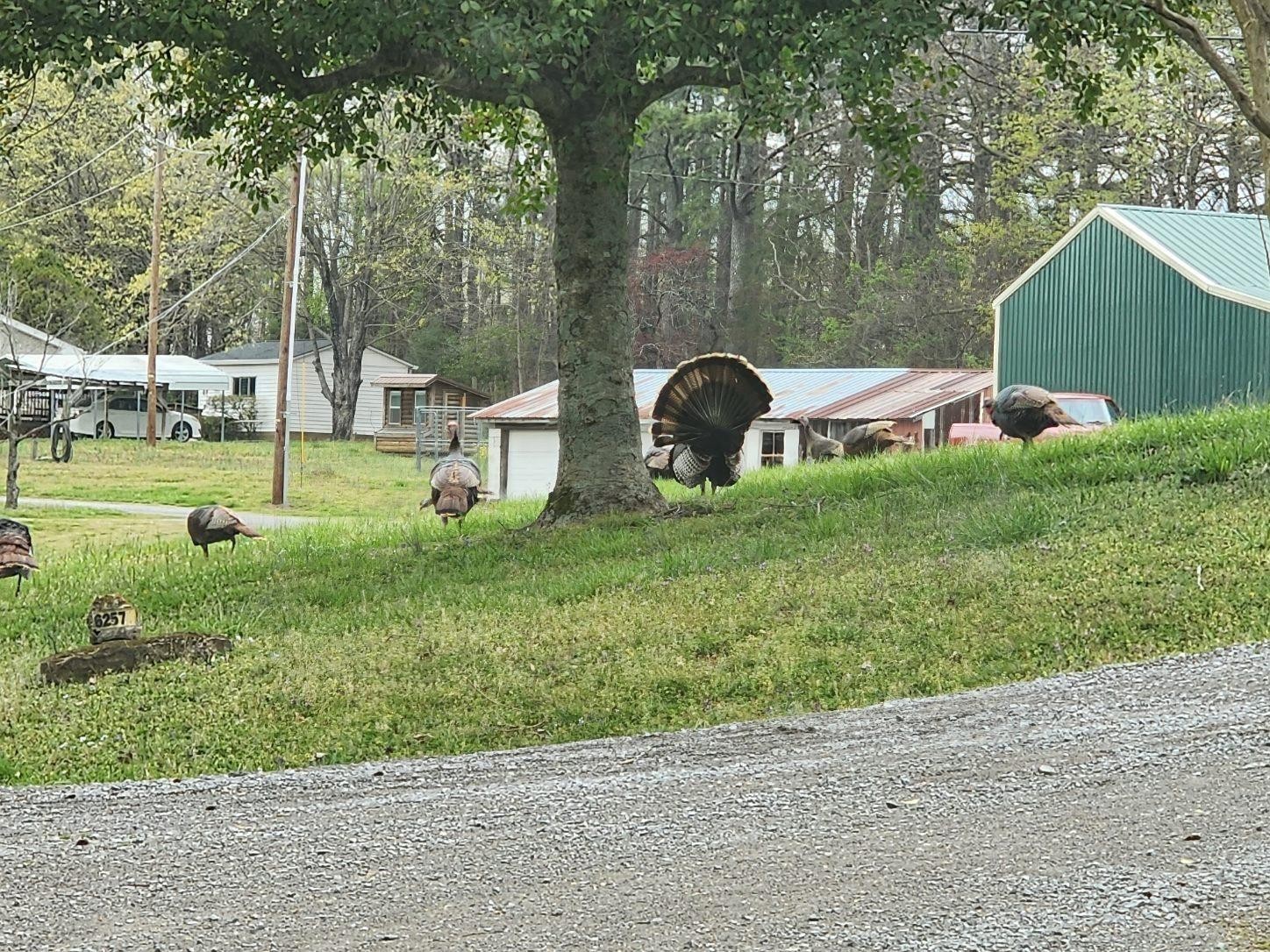 6307 North New Hope Road Hermitage, TN 37076 - Photo 54 of 61