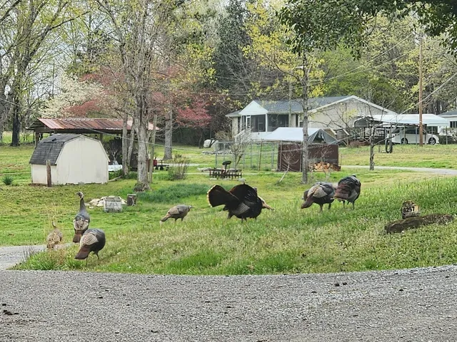 $1,179,000 | 6307 North New Hope Road, Hermitage, TN 37076