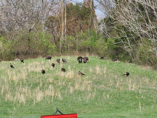 $1,179,000 | 6307 North New Hope Road, Hermitage, TN 37076