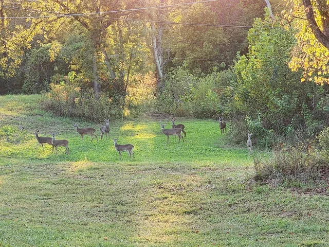 $1,179,000 | 6307 North New Hope Road, Hermitage, TN 37076