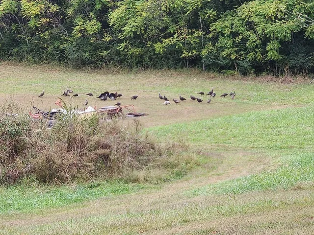 $1,179,000 | 6307 North New Hope Road, Hermitage, TN 37076