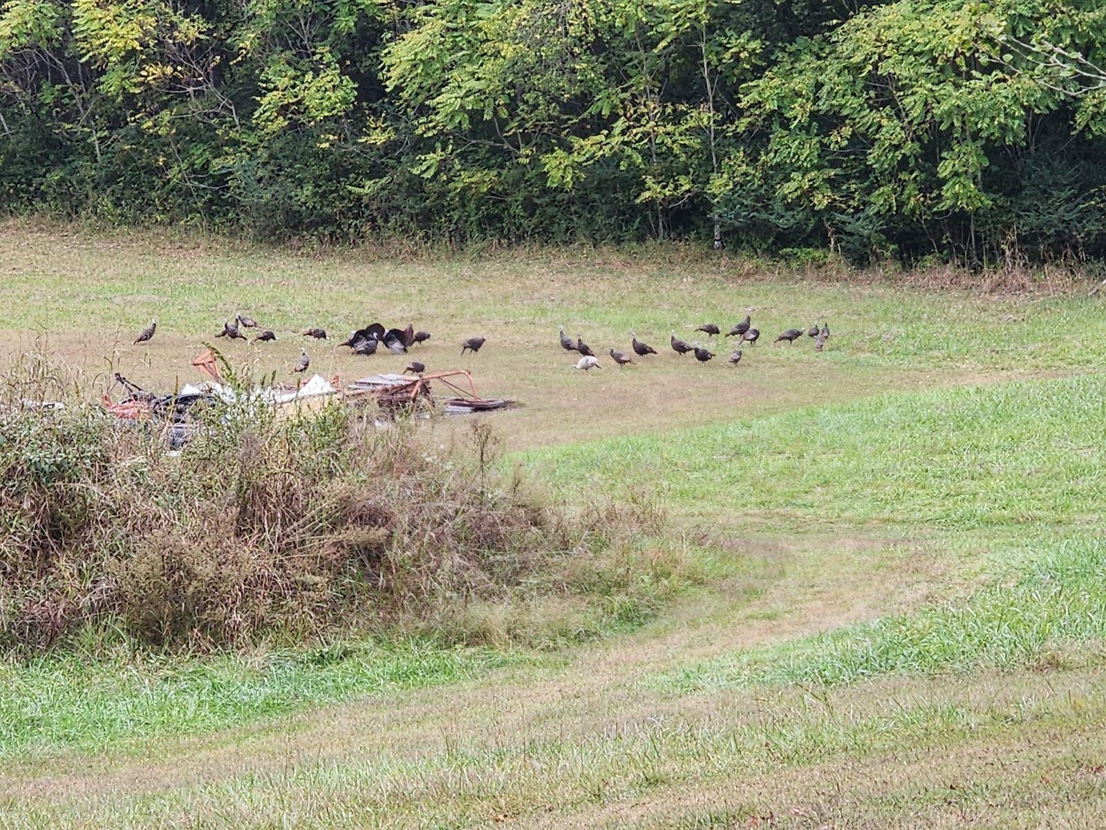 6307 North New Hope Road Hermitage, TN 37076 - Photo 60 of 61