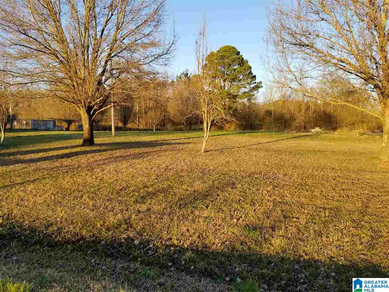 1244 Dove Welch Road Wellington, AL 36279 - Photo 3 of 5