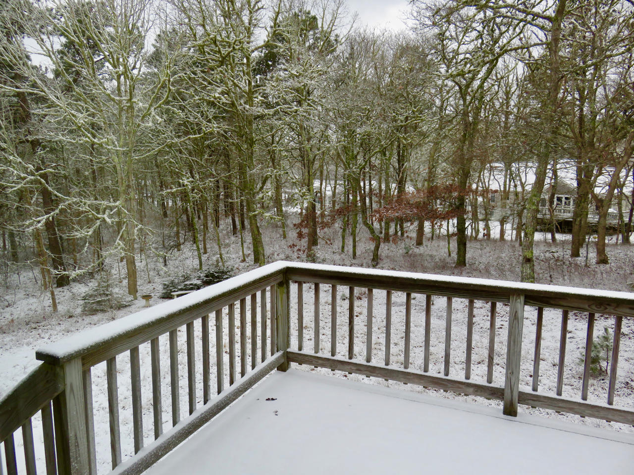 36 Spruce Grove Road Harwich, MA 02645 - Photo 23 of 27 IMG_1385