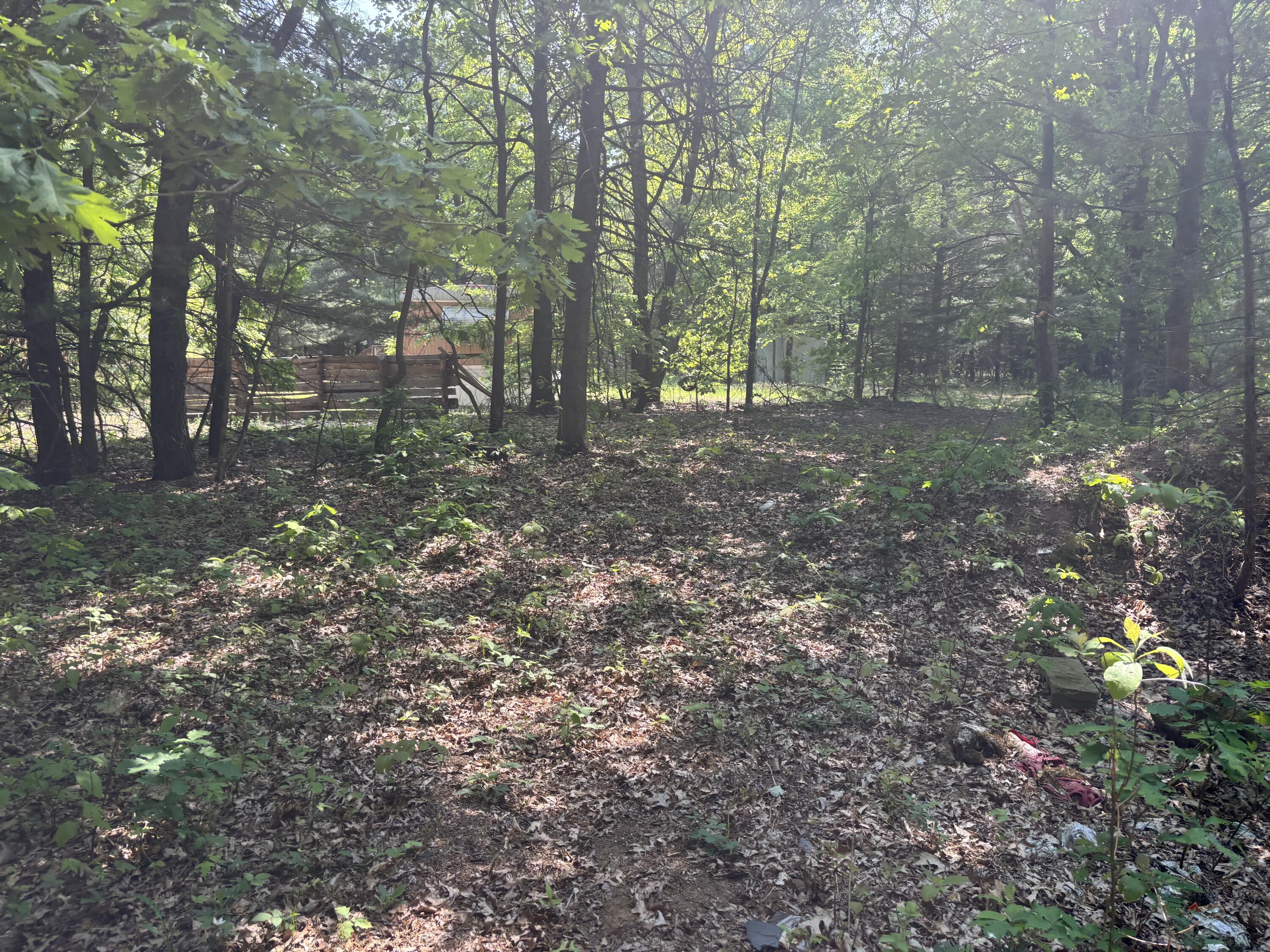 5341 Baseline Road Grand Junction, MI 49056 - Photo 2 of 6 IMG_2848