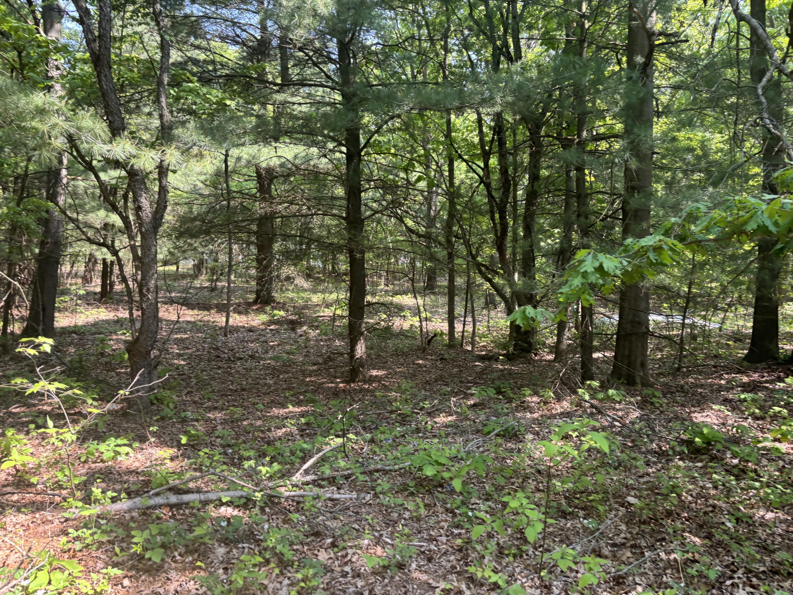 5341 Baseline Road Grand Junction, MI 49056 - Photo 3 of 6 IMG_2849