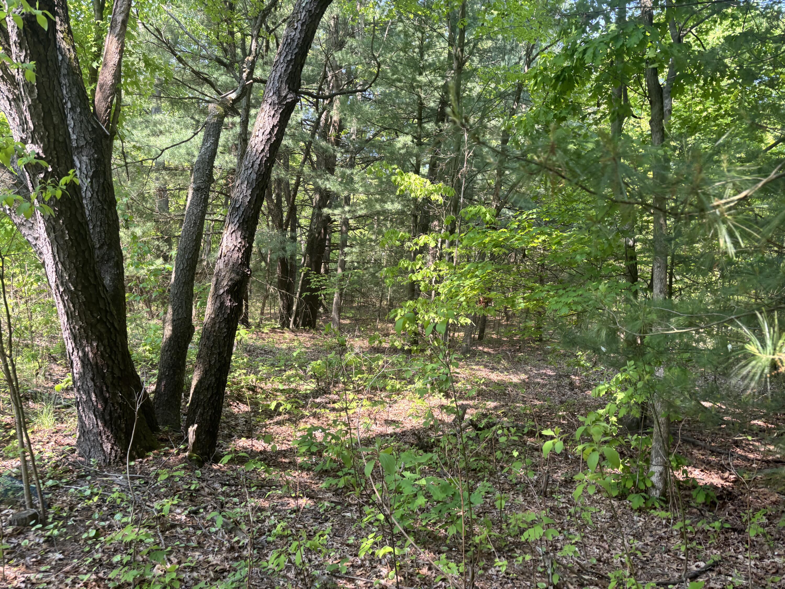 5341 Baseline Road Grand Junction, MI 49056 - Photo 6 of 6 IMG_2850